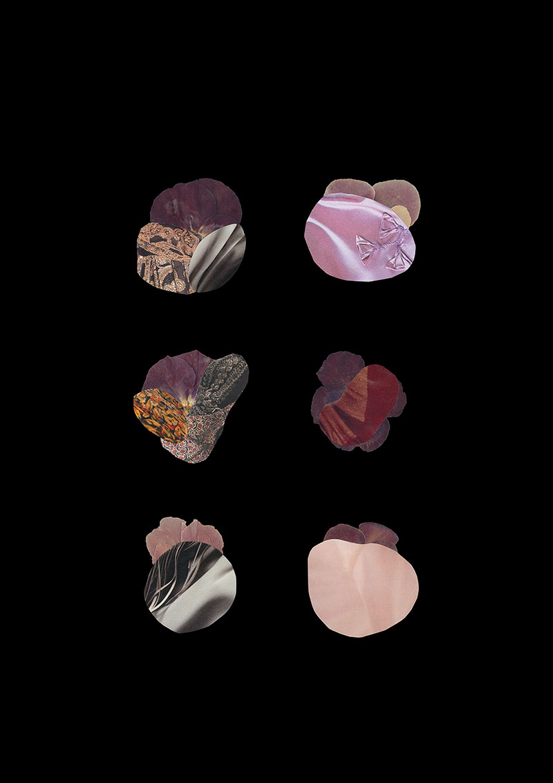 collage