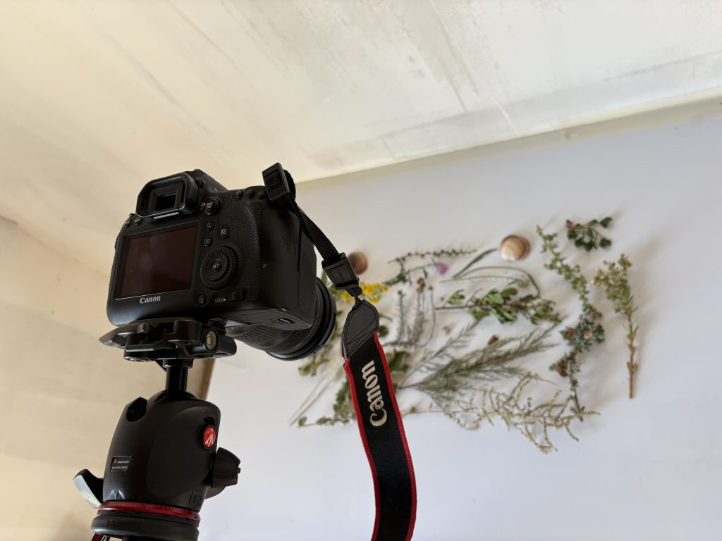 Travail d'Anne Fontaine